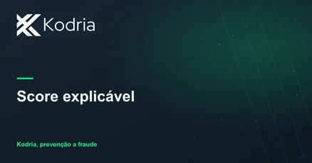 Scoring de risco explicável: o fim da black box